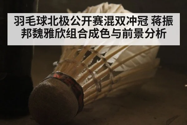 羽毛球北极公开赛混双冲冠 蒋振邦魏雅欣组合成色与前景分析